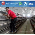 H Type Poultry Equipment for Broilers